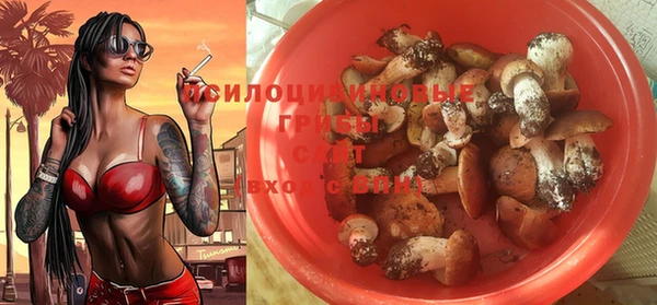 прущая мука Аркадак