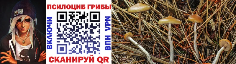 Псилоцибиновые грибы ЛСД  Купить где  Тайга 