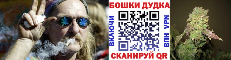 Купить где  Тайга  Бошки Шишки сатива 